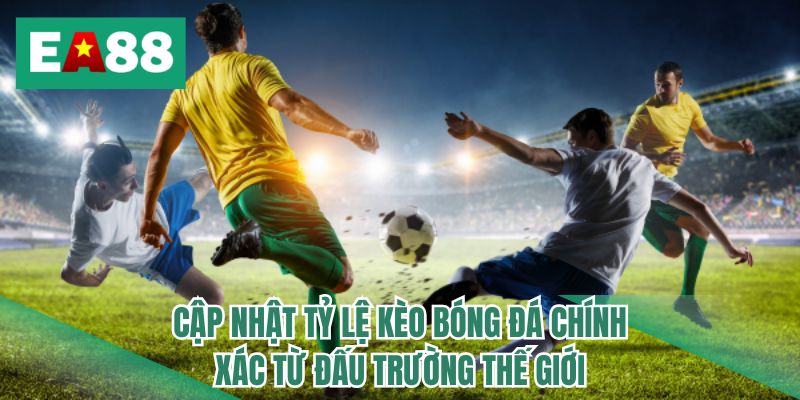 Cập nhật tỷ lệ kèo bóng đá chính xác từ đấu trường thế giới